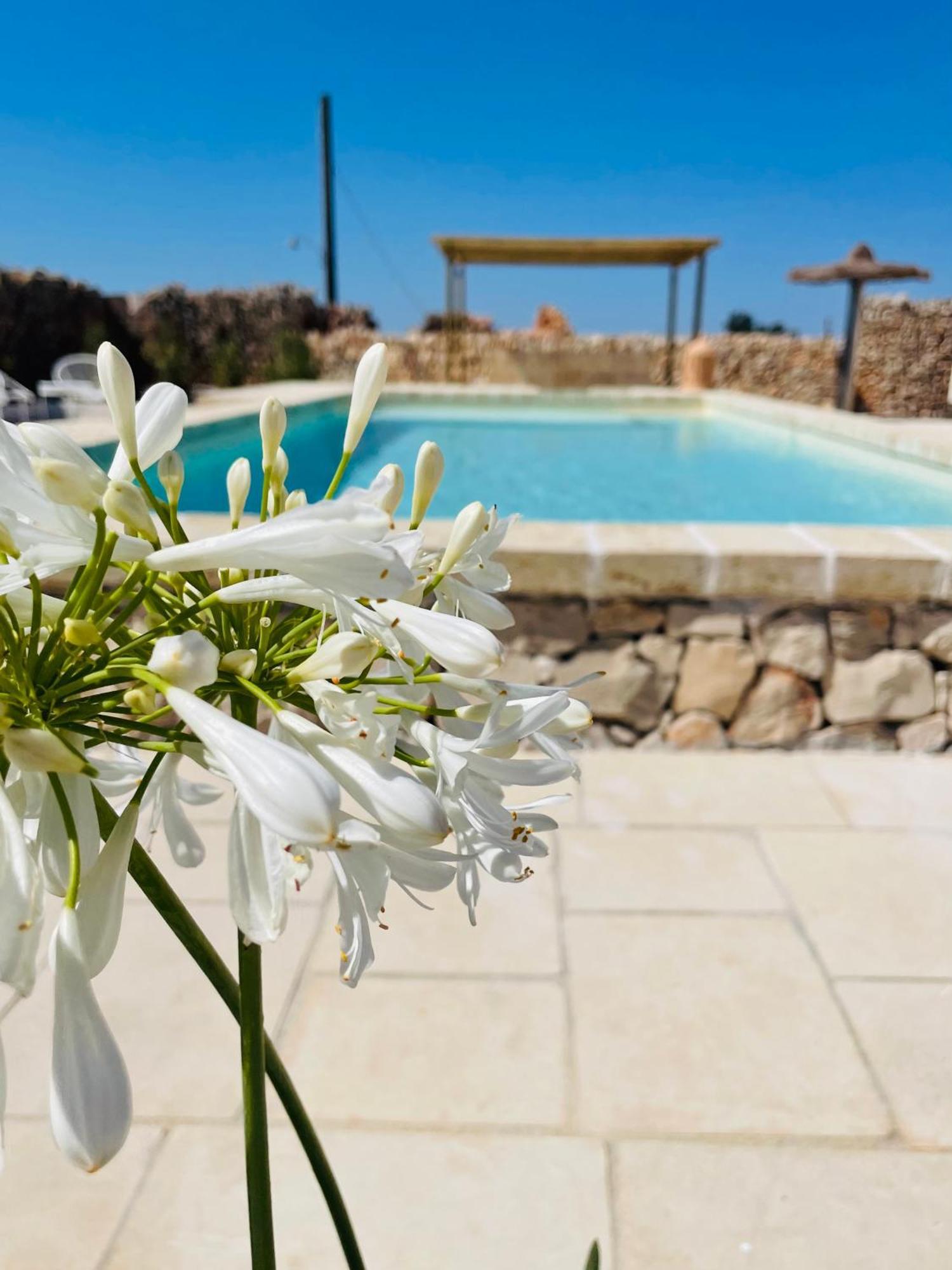 Masseria Voluzzi Copertino Exterior photo