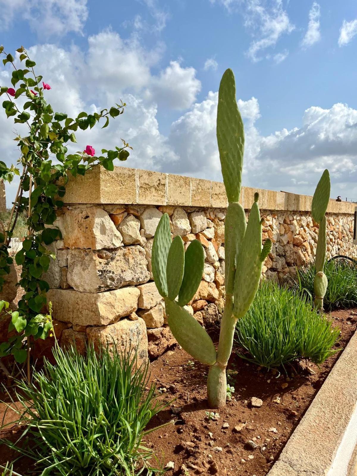Masseria Voluzzi Copertino Exterior photo
